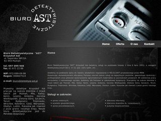 Podgląd detektyw-ast.pl