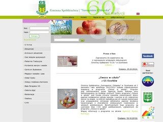 Miniaturka gs-ozorkow.pl