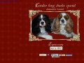 Podgląd cavalierspaniel.eu
