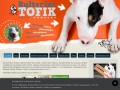 Podgląd tofik.com.pl