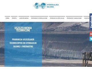 Podgląd polwent.com.pl