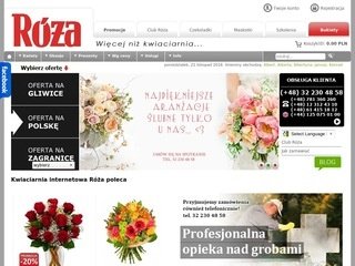 Podgląd roza-kwiaty.pl