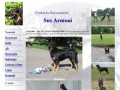 Podgląd hovawart-susarmoni.pl