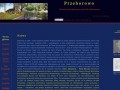 Podgląd przeborowo.za.pl