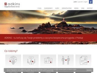 Podgląd adkins.pl
