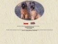 Podgląd briard-amberroute.pl