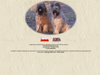 Podgląd briard-amberroute.pl