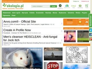 Podgląd ekologia.pl
