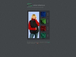 Miniaturka excel.waw.pl