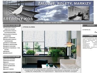 Miniaturka srebrny-kos.pl