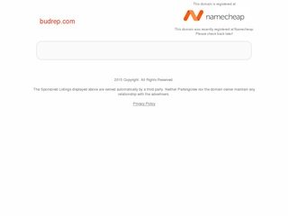 Podgląd budrep.com
