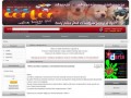 Podgląd dogcenter.pl