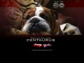 Podgląd bulldogs.com.pl
