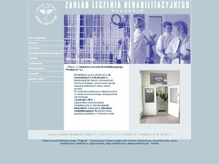 Podgląd zlr.com.pl