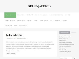 Podgląd sklep-jackbud.pl