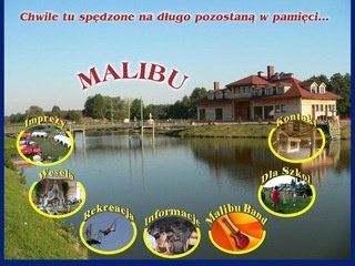 Podgląd malibu.lublin.pl