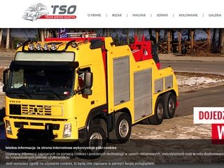 Podgląd truckolsztyn.pl