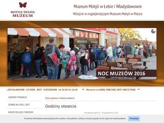 Podgląd muzeummotyli.pl