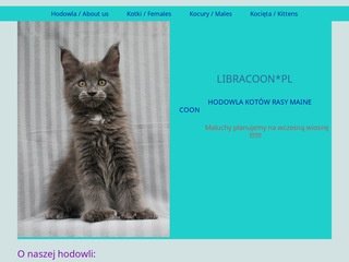 Miniaturka libracoon.pl