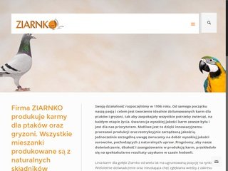 Podgląd ziarnko.pl