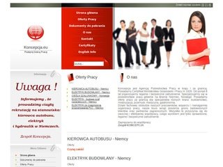 Podgląd koncepcja.eu