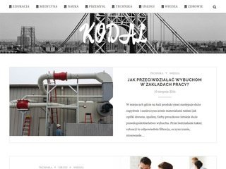 Podgląd kodal.com.pl