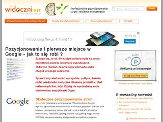 Miniaturka widoczni.net