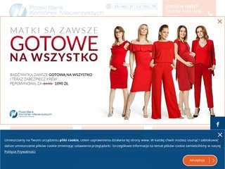 Podgląd pbkm.pl