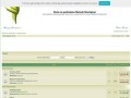Podgląd montignac.webd.pl
