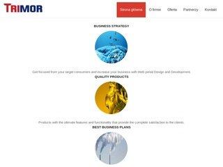Podgląd trimor.com.pl