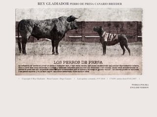 Podgląd reygladiador.com