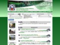 Podgląd pelikany.org