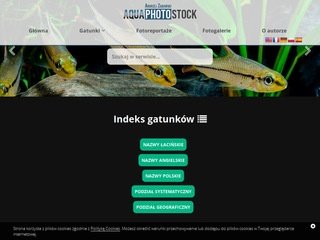 Podgląd akwafoto.pl