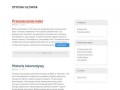 Podgląd pua.net.pl