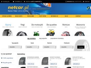 Podgląd netcar.pl