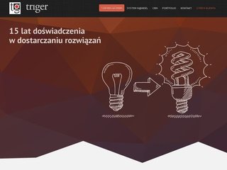 Podgląd triger.com.pl