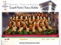 Podgląd zpitbielsko.pl