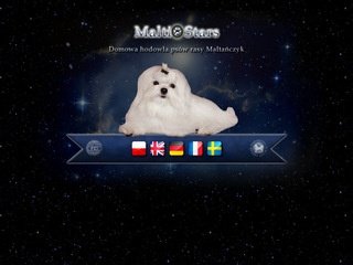 Podgląd maltistars.com