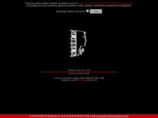 Podgląd kerstengallery.com.pl