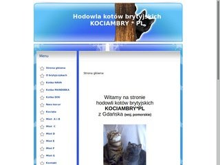 Podgląd kociambry.pl