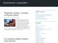 Podgląd dynamico.pl