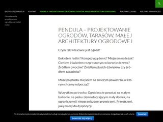 Podgląd pendula.waw.pl