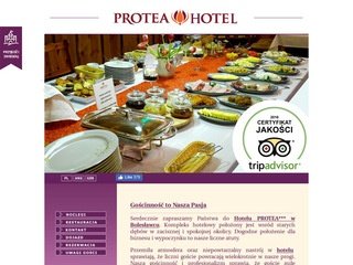 Podgląd protea.com.pl