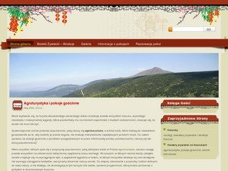 Podgląd pokoje-goscinne-ania.pl