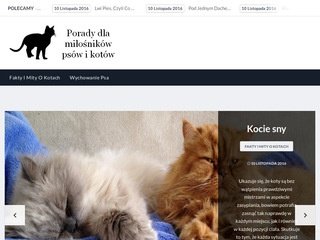 Podgląd idog.pl