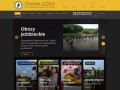 Podgląd lezno.pl