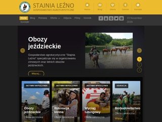 Podgląd lezno.pl
