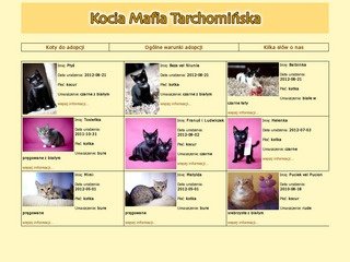 Miniaturka kmt.waw.pl