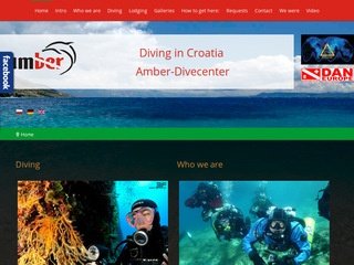 Miniaturka amber-divecenter.com