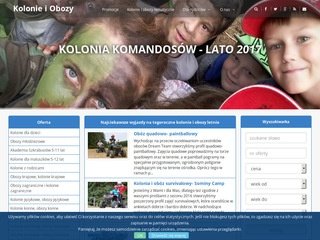 Podgląd serwiswakacyjny.com